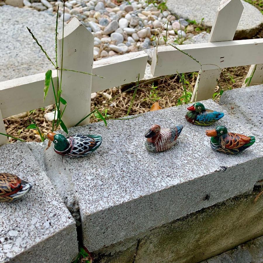 泉佐野市幽舍の庭アパートメント エクステリア 写真
