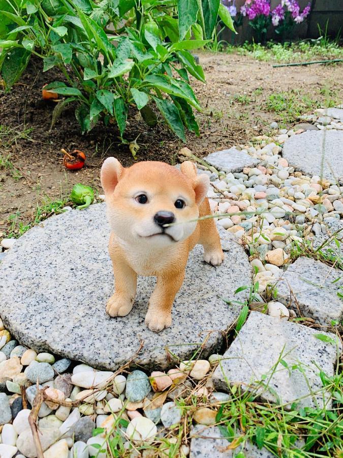 泉佐野市幽舍の庭アパートメント エクステリア 写真